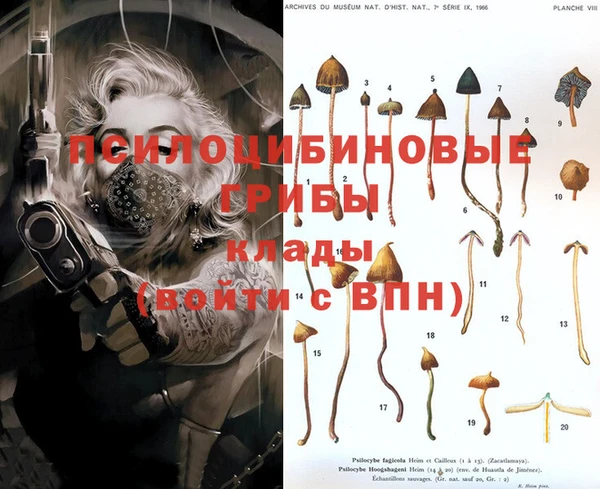 спайс Алексеевка