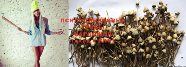 марихуана Алексин